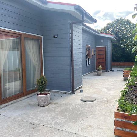 Cabanas Bosque Austral Punta Arenas Kültér fotó