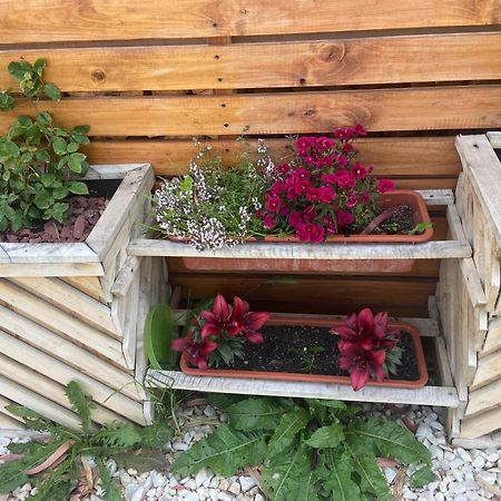 Cabanas Bosque Austral Punta Arenas Kültér fotó